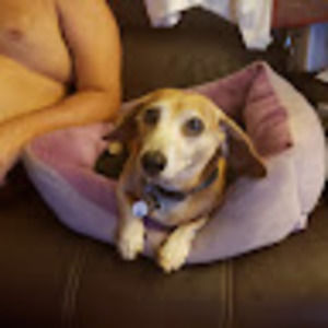 Meet your Posher, Robert